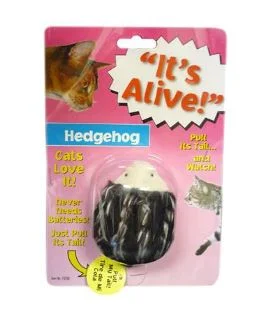 - Pet educational toy recommendationsIts Alive Cat Toy