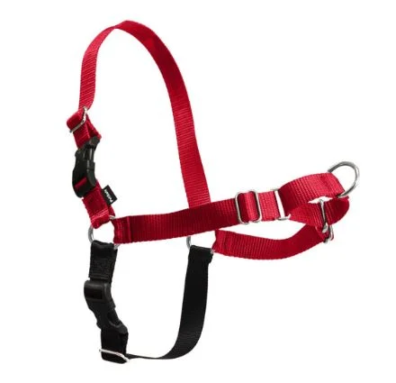 - Cat toy rankingsEasy Walk Harness