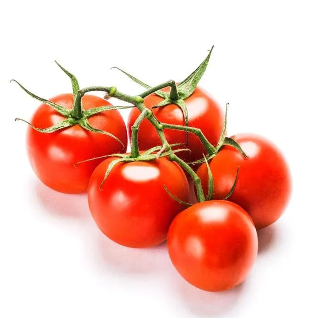 Daylesford Organic Large Vine Tomatoes   425g