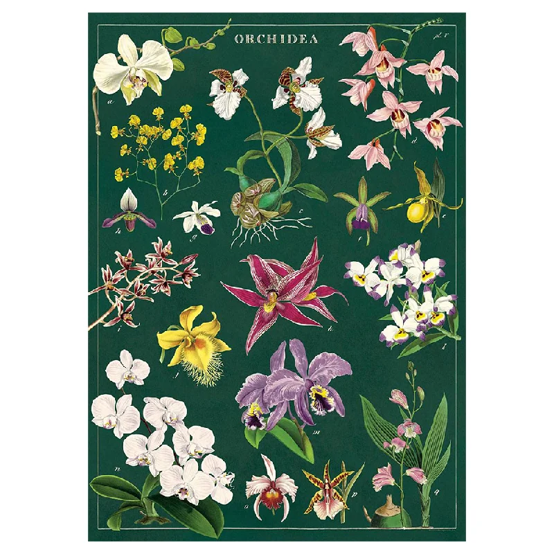 Cavallini Vintage Poster Orchids