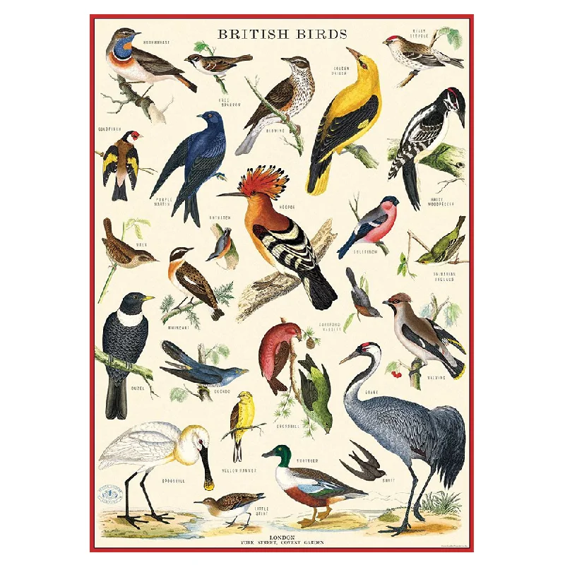 Cavallini Vintage Poster British Birds