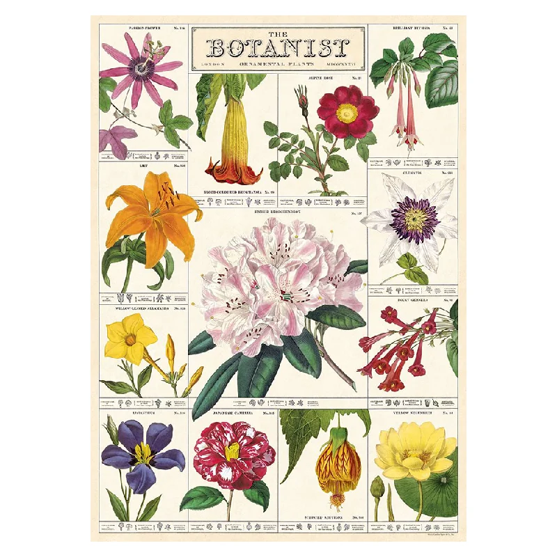 Cavallini Vintage Poster Botanist